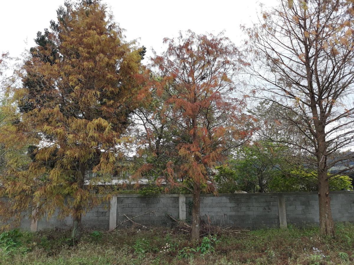 63Inn庭園民宿 Pinghe Екстериор снимка